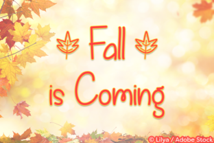 Fall is Coming: A Handwriting Font with Character