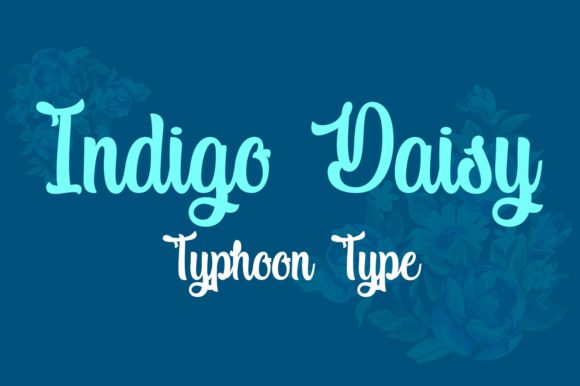 Indigo Daisy