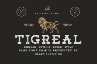 Tigreal Family: A Versatile Font for Creative Expression